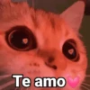 😻Gatitos con Frases🧶 29