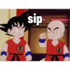 Dragonball 12