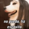 NO PUEDO  14