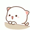 Koceng Kawaiii 6