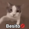 😻Gatitos con Frases🧶 16