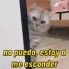 NO PUEDO  7