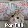 😻Gatitos con Frases🧶 9