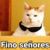 😻Gatitos con Frases🧶 15