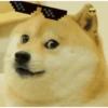 Dog Animated 23