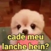 Reações e pets 😍 14