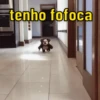 EXPRESSÕES QUE ME RESUMEM  11