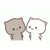 Kucing gemoy 17