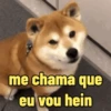 Pra flertar 😌 12