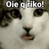 😻Gatitos con Frases🧶 25