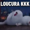 BOLA DE NEVE🐰 10