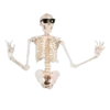 Calavera bailando Movi 13