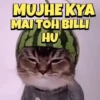 Cats gif 8