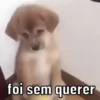 EXPRESSÕES QUE ME RESUMEM  10