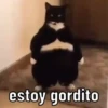 NO PUEDO  15