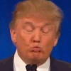 TRUMP BRUH 14