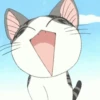 Kitty 14