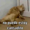 NO PUEDO  9