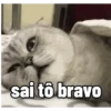 ANIMAÇÕES DE MEMES😸 7