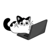 😸Meow😻 5