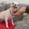 Memes que tienes que tener 9 10