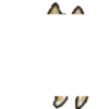 Dog Animated 15