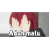 Watashi Bukan Wibu 14