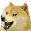 Dog Animated 16