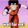 Dragonball 11
