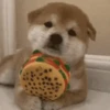 Animals 8