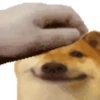 Dog Animated 14