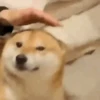 Random Animated XD 9