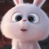 BOLA DE NEVE🐰 12