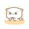 Koceng Kawaiii 13