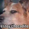 NO PUEDO  12