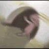 Random Animated XD 6