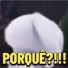BOLA DE NEVE🐰 6