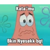Patrick v2 5