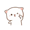 Kucing gemoy 14