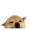 MEME REACTIONs 8