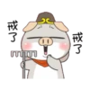 little miss rabbit 16