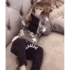 Monkeys 24