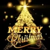 Christmas Pack 13