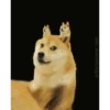 Dog Animated 9