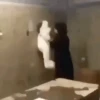 Solo memes Animados 😈🍷 13