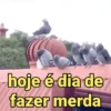Reações e pets 😍 5