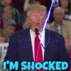 TRUMP BRUH 13