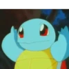 Pokémon [1] 15