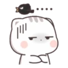 Kucing gemoy 5