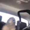 Monkeys 26